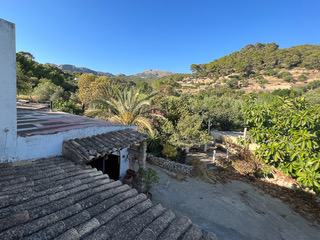 FINCA WITH LAND AND WATER